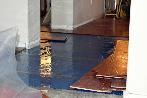Professional Burst Pipe Cleanup technician working in Fayville, MA
